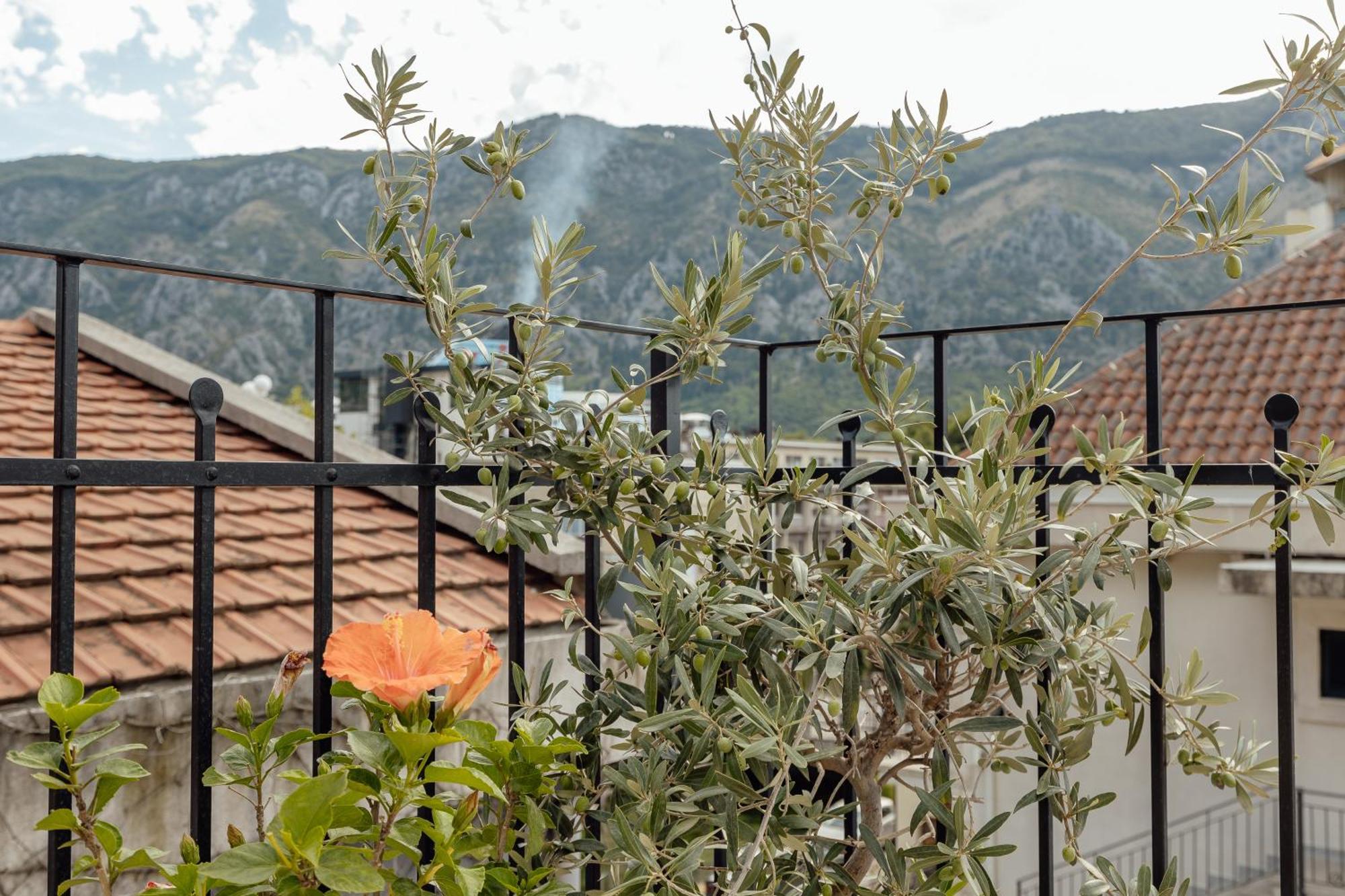 Kotor Central Point Exterior foto